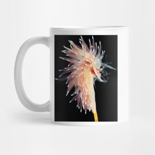 Sea slug (C021/6812) Mug